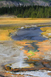 Yellowstone  von Vadim Smirnov