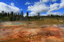 Yellowstone by Vadim Smirnov