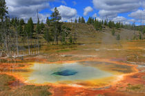 Yellowstone von Vadim Smirnov