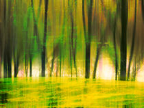 Yellow Glade by florin