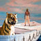 Life-of-pi-painting