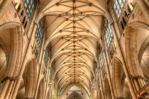 York Minster by Martin Williams