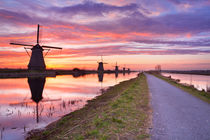 Dutch Windmills by Sara Winter