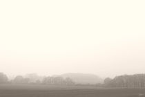 Nebel im Coesfelder Land von ndsh
