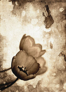 Vintage Flowers von Denis Marsili