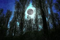 Moonlight - Mondlicht by leddermann