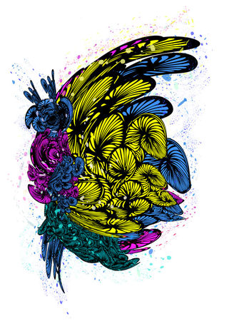 Spring-butterfly-rgb