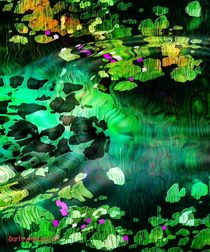 Lily Pond by mimulux