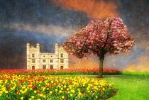 An English Garden by CHRISTINE LAKE