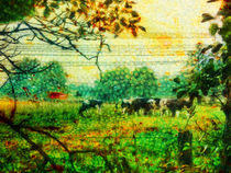 on the pasture by urs-foto-art