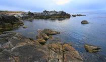 Monterey Bay by Vadim Smirnov