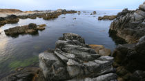 Monterey Bay von Vadim Smirnov