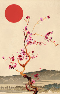 Sakura by Nedim Seferovic