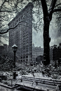 Flatiron Building and Madison Square Park by Chris Lord