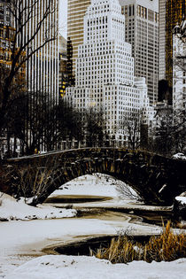 Gapstow Bridge In Winter von Chris Lord