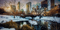 Sunrise in Winter at Central Park von Chris Lord