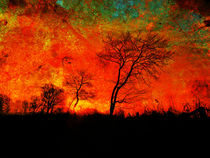 coloured sunset von urs-foto-art
