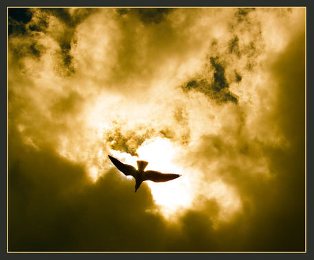 2012-golden-flight