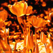 Sunny Tulip Monochrome by Maggie Vlazny