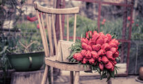 Red tulips von Diana Boariu