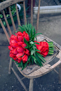 Red tulips by Diana Boariu