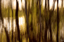 Herbstseewald von ndsh