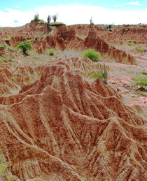 Regenrinnen in der Tatacoa Wüste von reisemonster
