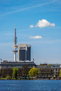Hamburger Alster mit Fernsehturm Hamburg von Dennis Stracke