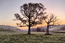 North Devon Sunrise von Dave Wilkinson