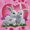 Romantic-white-rabbits-with-heart