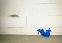 blue shoes by Fernand Reiter