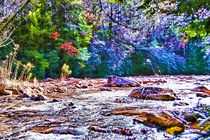Mountain Creek in IR von Dan Richards