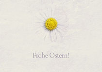Frohe Ostern! by ndsh
