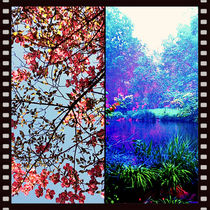 Landscape Diptych Collage  by Maggie Vlazny