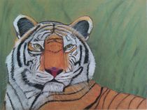 Tiger by Kornelia Richter