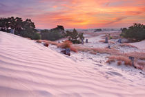 Dune Sunrise by Sara Winter
