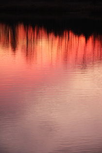 Sunset on the water. von Ruth Baker