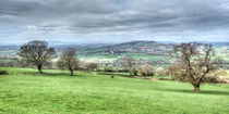 Monmouthshire Panorama von David Tinsley