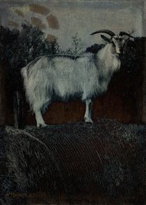 La Capra - The Goat by mimulux