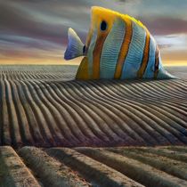 Big Fish by Dariusz Klimczak