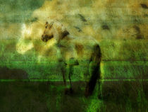 horse whispering by urs-foto-art