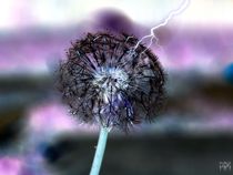 Electric Dandelion by jfantasma-artistry