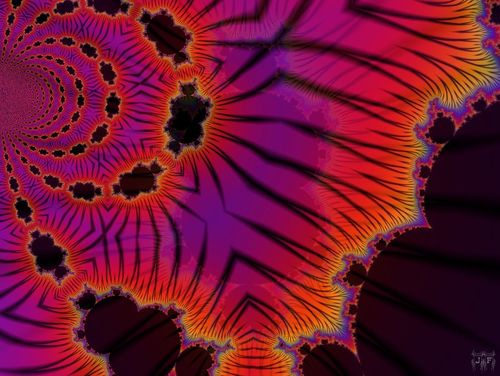Flower-fractal