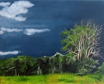 Summer storm by Wendy Mitchell