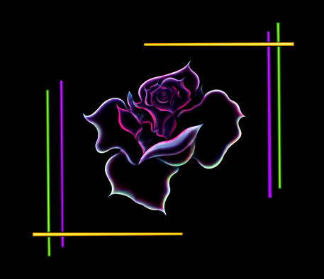 Schwares-feld-gerade-schwarzr-rose