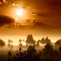 Foggy dawn von Maxim Khytra