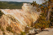 Grand Canyon Of The Yellowstone by John Bailey