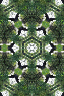 Kaleidoskop by mario-s