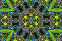 Kaleidoskop by mario-s