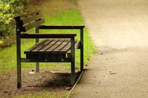 Bench in the park by Luisa Azzolini